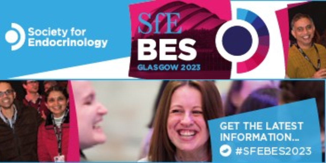 SfE BES 2023