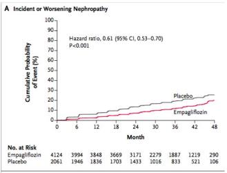 Empa-Reg Renal Outcomes Image