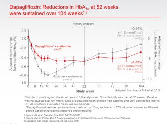Dapagliflozin HbA1c Sustained Image