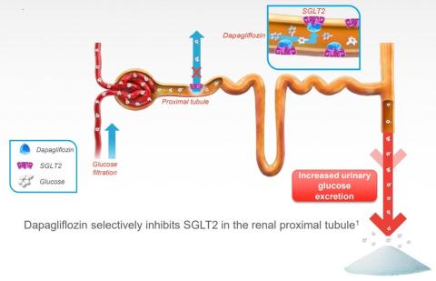 Dapagliflozin Image