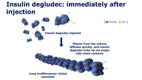 Degludec Mode Action Image