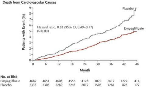 Empa-Reg Cardiovascular Outcome Image