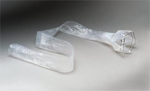 Endobarrier Image